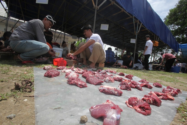 IMRA RAPP Bagikan 6.426 Kantong Daging Qurban